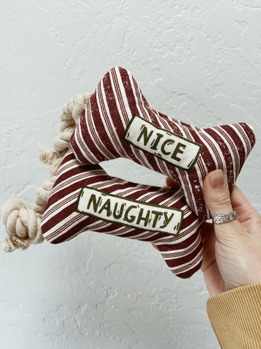 Naughty or Nice Dog Toy