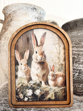 Load image into Gallery viewer, Trio Bunny Framed Art