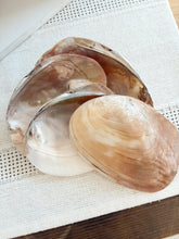 Load image into Gallery viewer, Pearl Shell Dish